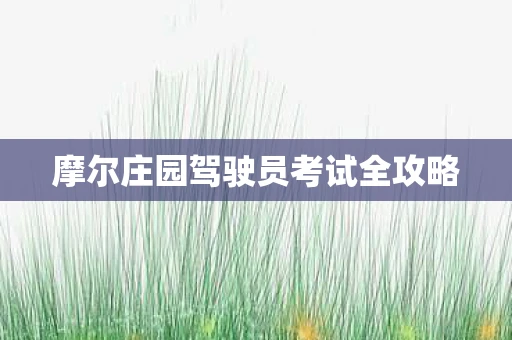 摩尔庄园驾驶员考试全攻略