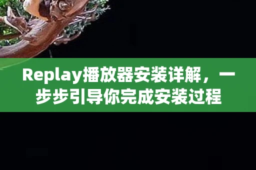 Replay播放器安装详解，一步步引导你完成安装过程