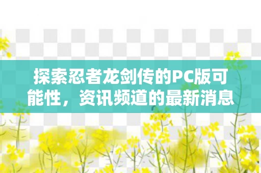 探索忍者龙剑传的PC版可能性图片