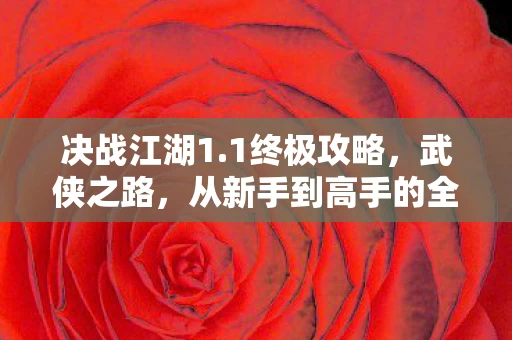 从新手到高手的全面指南图片