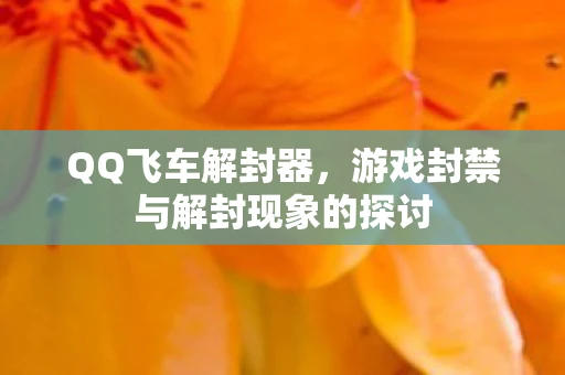 QQ飞车解封器，游戏封禁与解封现象的探讨