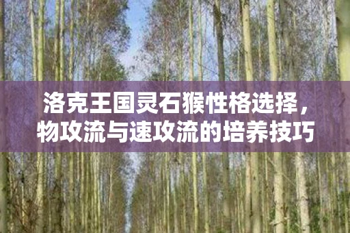 洛克王国灵石猴性格选择，物攻流与速攻流的培养技巧