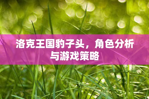 角色分析与游戏策略图片