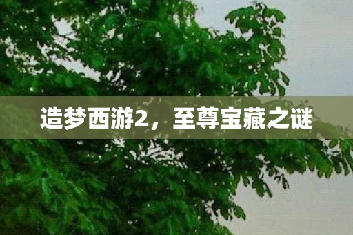 至尊宝藏之谜图片