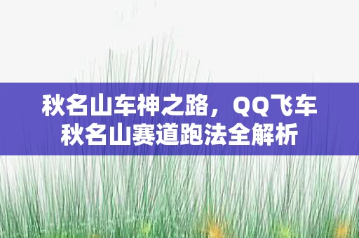 QQ飞车秋名山赛道跑法全解析图片