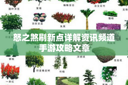 怒之煞刷新点详解资讯频道手游攻略文章图片