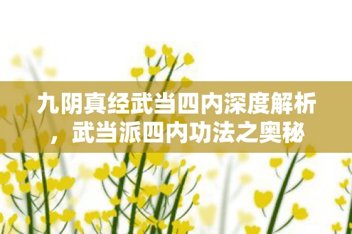 九阴真经武当四内深度解析，武当派四内功法之奥秘