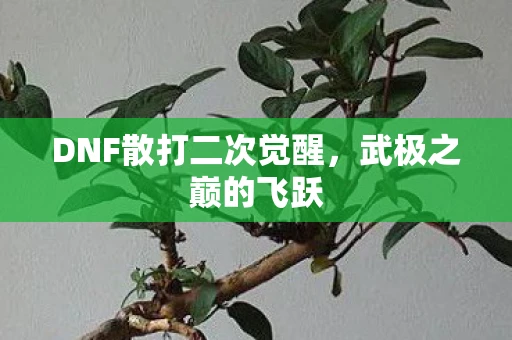 DNF散打二次觉醒，武极之巅的飞跃