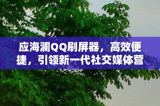 引领新一代社交媒体营销潮流图片