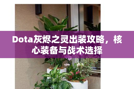 Dota灰烬之灵出装攻略，核心装备与战术选择