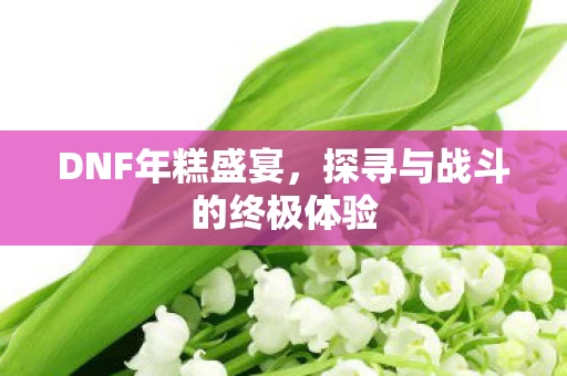 DNF年糕盛宴,探寻与战斗的终极体验 DNF年糕盛宴,探寻与战斗的终极体验