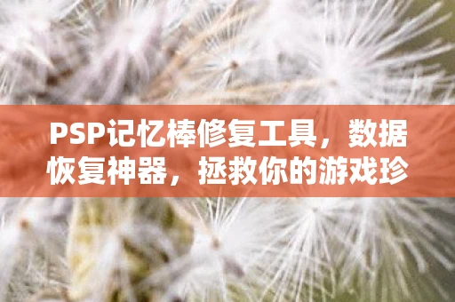 PSP记忆棒修复工具，数据恢复神器，拯救你的游戏珍藏