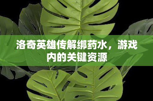 洛奇英雄传解绑药水，游戏内的关键资源