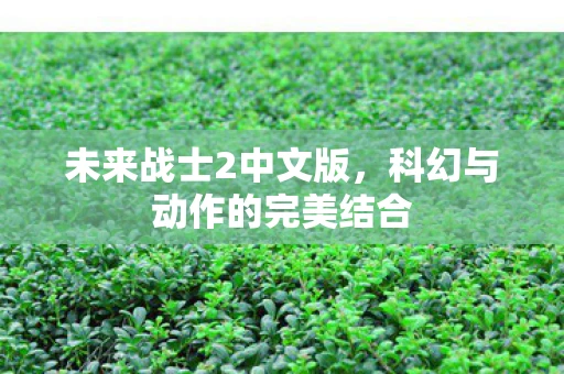 未来战士2中文版，科幻与动作的完美结合