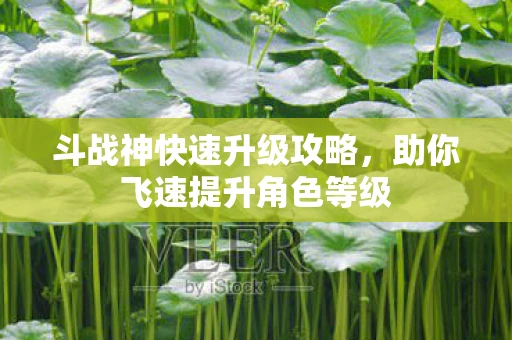 斗战神快速升级攻略，助你飞速提升角色等级