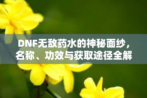 DNF无敌药水的神秘面纱，名称、功效与获取途径全解析