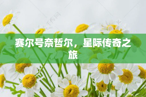 赛尔号奈哲尔，星际传奇之旅