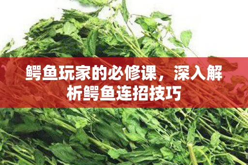 鳄鱼玩家的必修课，深入解析鳄鱼连招技巧