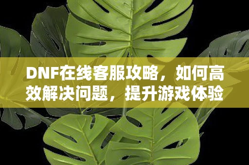 DNF在线客服攻略，如何高效解决问题，提升游戏体验