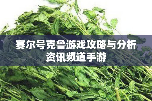 赛尔号克鲁游戏攻略与分析资讯频道手游图片