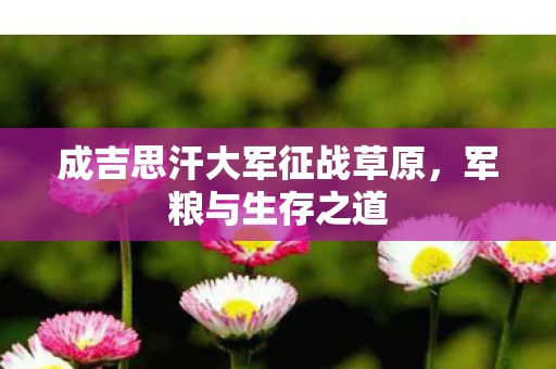 成吉思汗大军征战草原图片