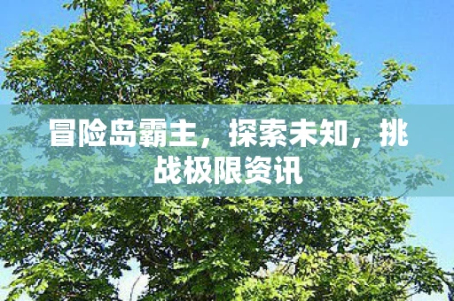 冒险岛霸主，探索未知，挑战极限资讯