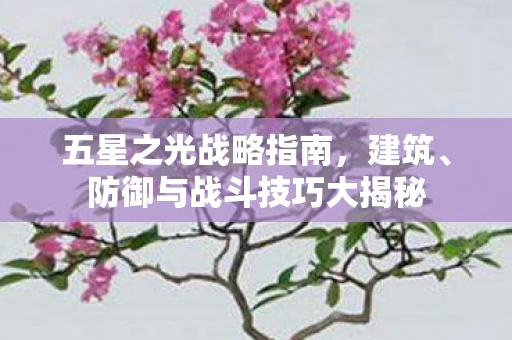 五星之光战略指南，建筑、防御与战斗技巧大揭秘