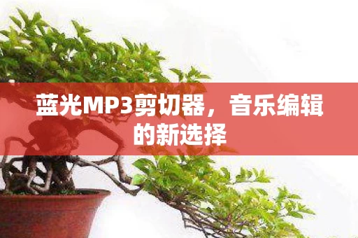 蓝光MP3剪切器,音乐编辑的新选择 蓝光MP3剪切器,音乐编辑的新选择