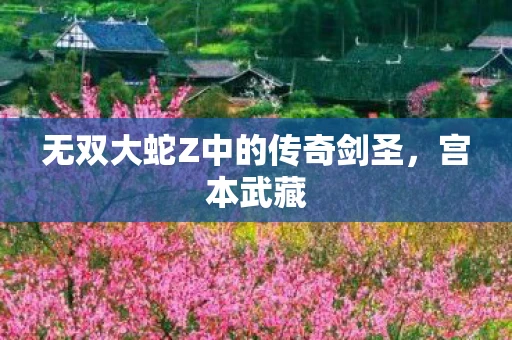 无双大蛇Z中的传奇剑圣，宫本武藏