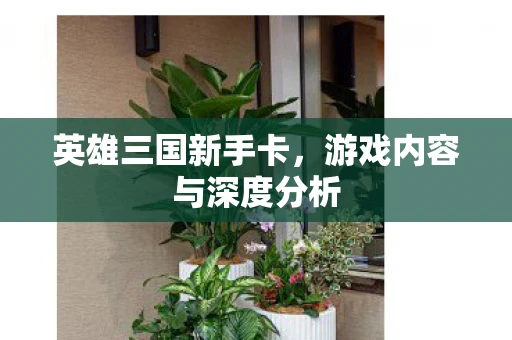 英雄三国新手卡，游戏内容与深度分析