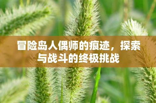 冒险岛人偶师的痕迹，探索与战斗的终极挑战