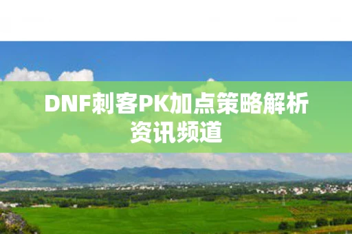 DNF刺客PK加点策略解析资讯频道