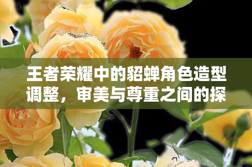 王者荣耀中的貂蝉角色造型调整图片