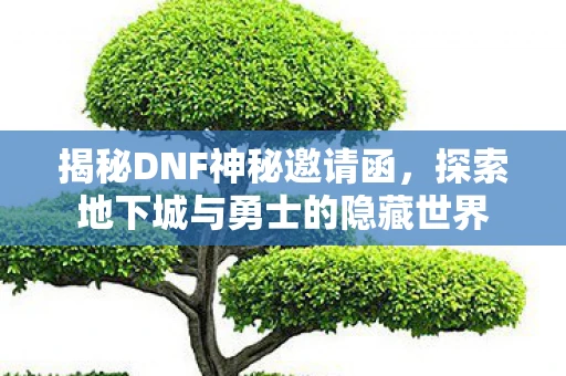揭秘DNF神秘邀请函，探索地下城与勇士的隐藏世界