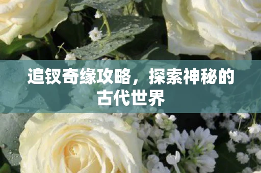 追钗奇缘攻略，探索神秘的古代世界