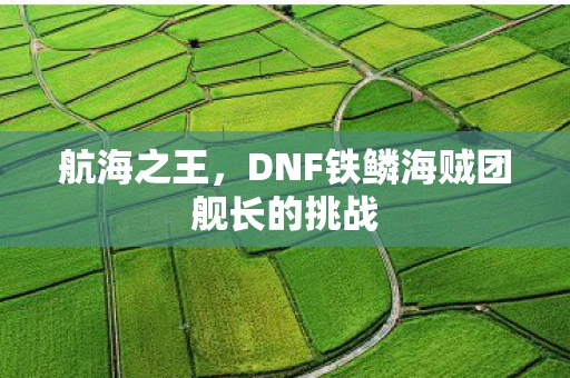 航海之王，DNF铁鳞海贼团舰长的挑战