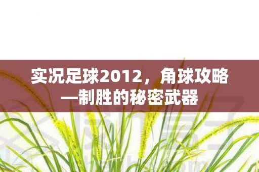 实况足球2012，角球攻略—制胜的秘密武器