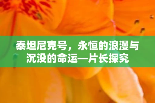 泰坦尼克号，永恒的浪漫与沉没的命运—片长探究