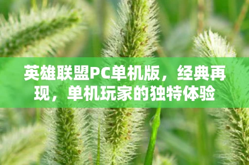 英雄联盟PC单机版图片