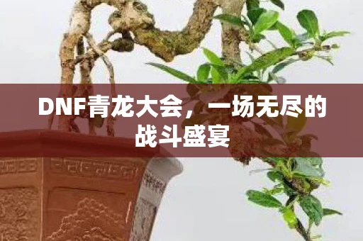DNF青龙大会，一场无尽的战斗盛宴
