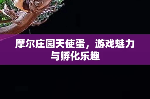 摩尔庄园天使蛋，游戏魅力与孵化乐趣