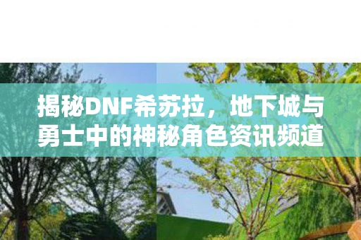 揭秘DNF希苏拉，地下城与勇士中的神秘角色资讯频道