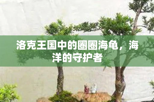 洛克王国中的圈圈海龟，海洋的守护者