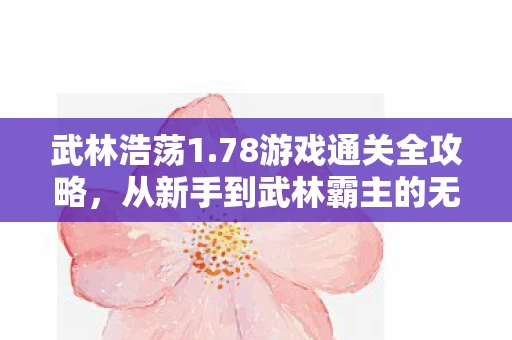 武林浩荡1.78游戏通关全攻略，从新手到武林霸主的无畏之旅