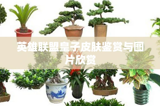 英雄联盟皇子皮肤鉴赏与图片欣赏