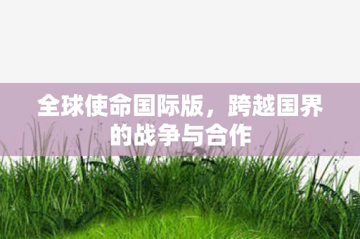 全球使命国际版，跨越国界的战争与合作