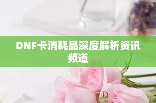 DNF卡消耗品深度解析资讯频道