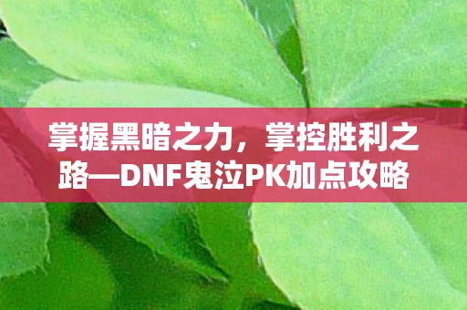 掌握黑暗之力，掌控胜利之路—DNF鬼泣PK加点攻略
