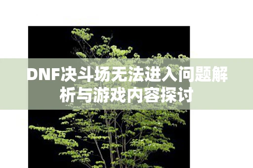 DNF决斗场无法进入问题解析与游戏内容探讨
