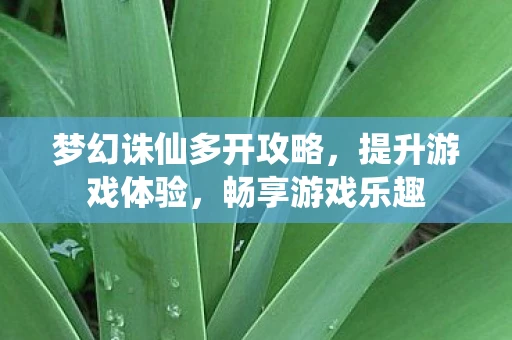 梦幻诛仙多开攻略，提升游戏体验，畅享游戏乐趣